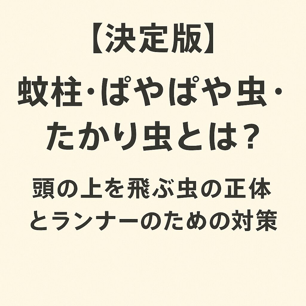 蚊柱・ぱやぱや虫・たかり虫とは？頭の上を飛ぶ虫の正体とランナーのための対策
